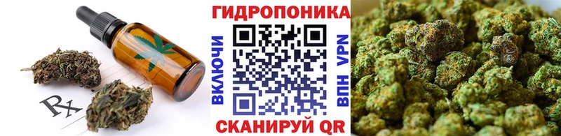 Canna-Cookies марихуана  купить наркотик  Шахты 