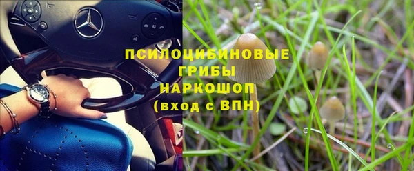 дмт Абаза