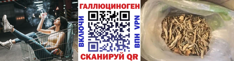Галлюциногенные грибы Psilocybe  магазин продажи   Шахты 